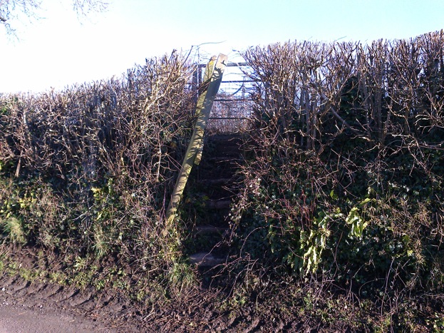 20170120 Compton Martin broken handrail posts