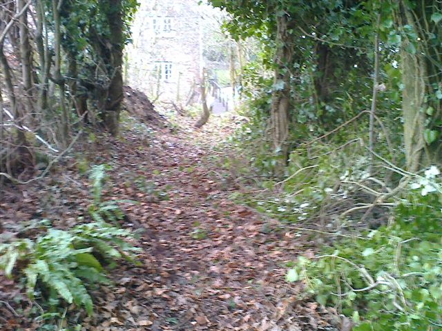 20170127 Stowey path cleared at top of bank