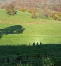 shadowy.ramblers.CMS